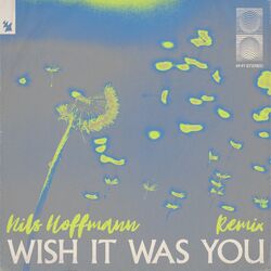 Cover of Wish It Was You (Nils Hoffmann Remix)