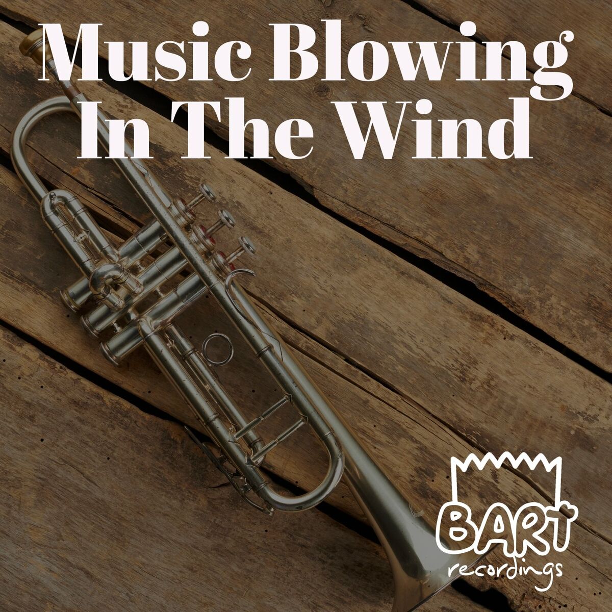 Album cover of Music Blowing in the Wind