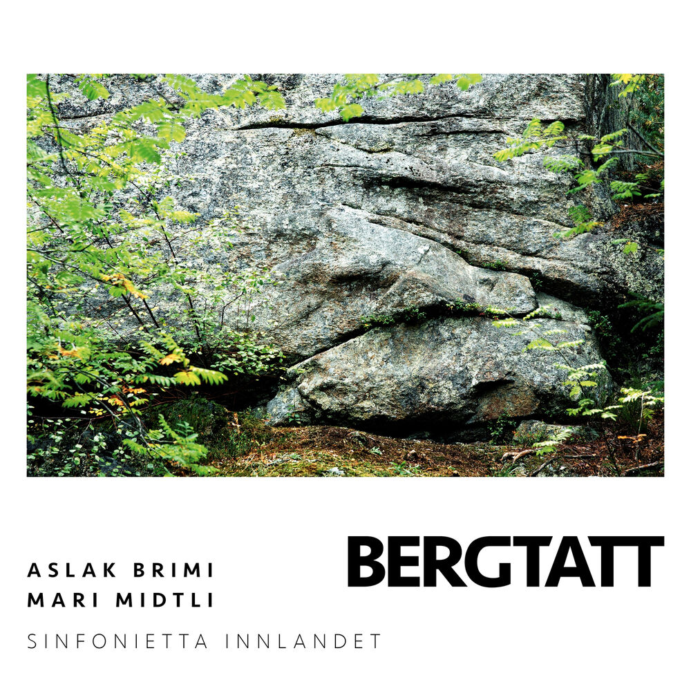 Picture of Bergtatt
