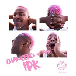 Cover of IDK