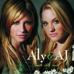 Cover of Into The Rush