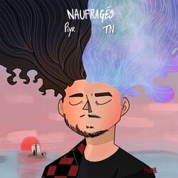 Cover of Naufragés
