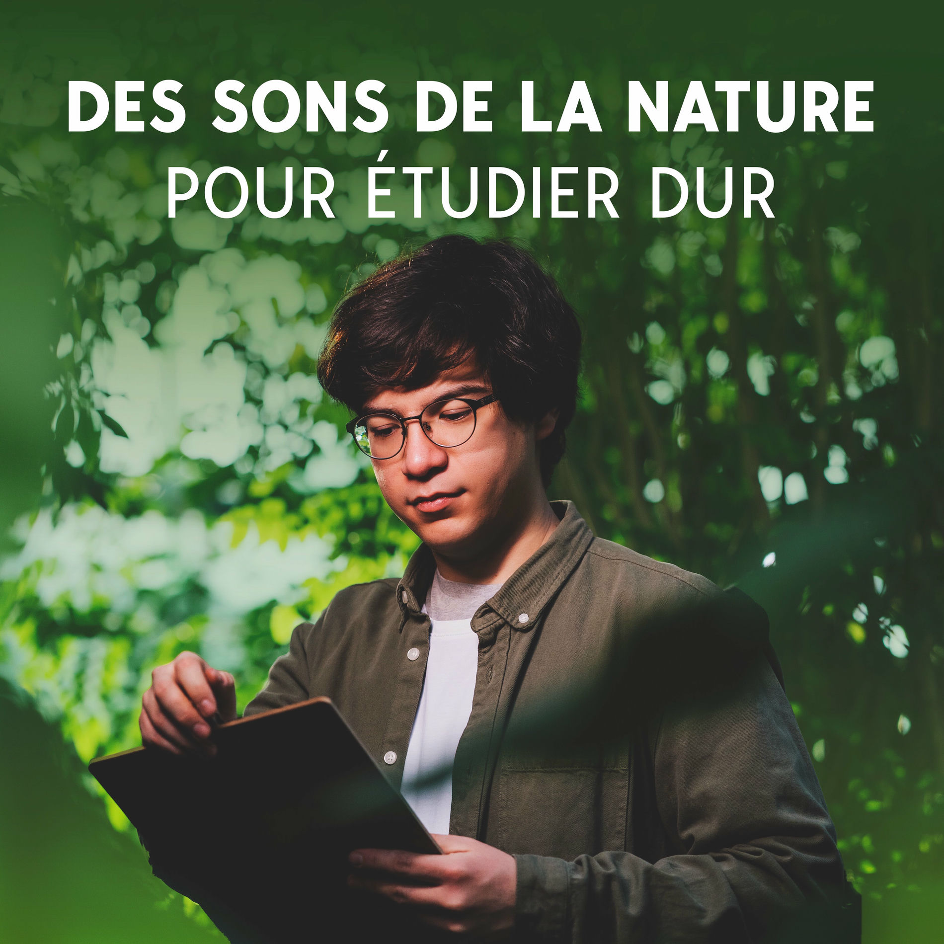 Album cover of Des Sons de la Nature Pour étudier Dur