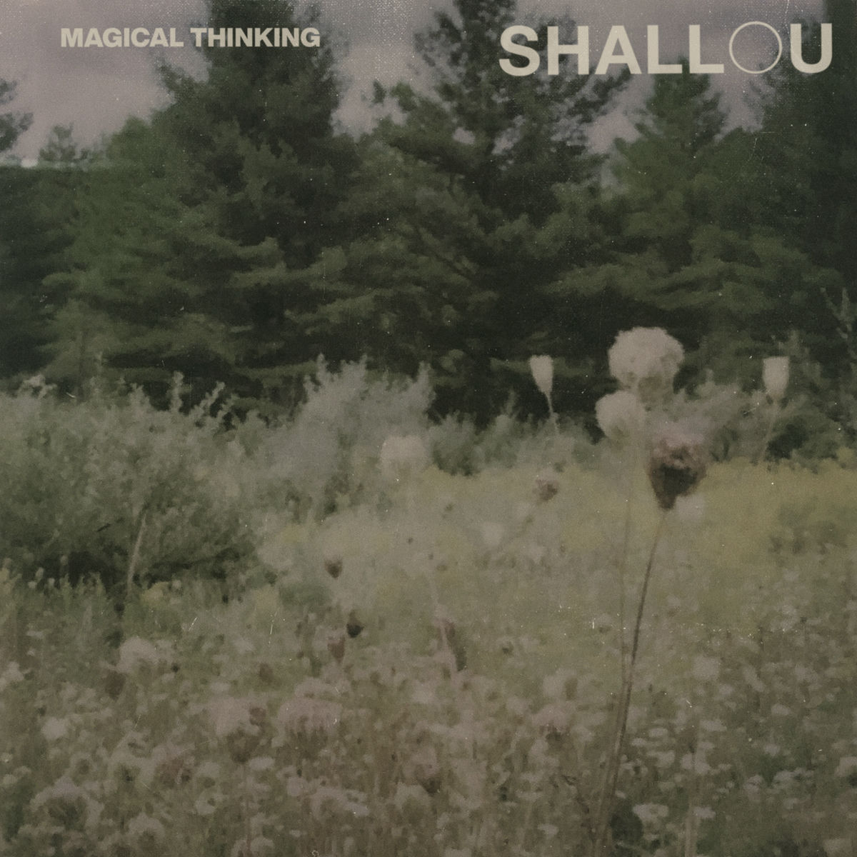 Album picture of Magical Thinking