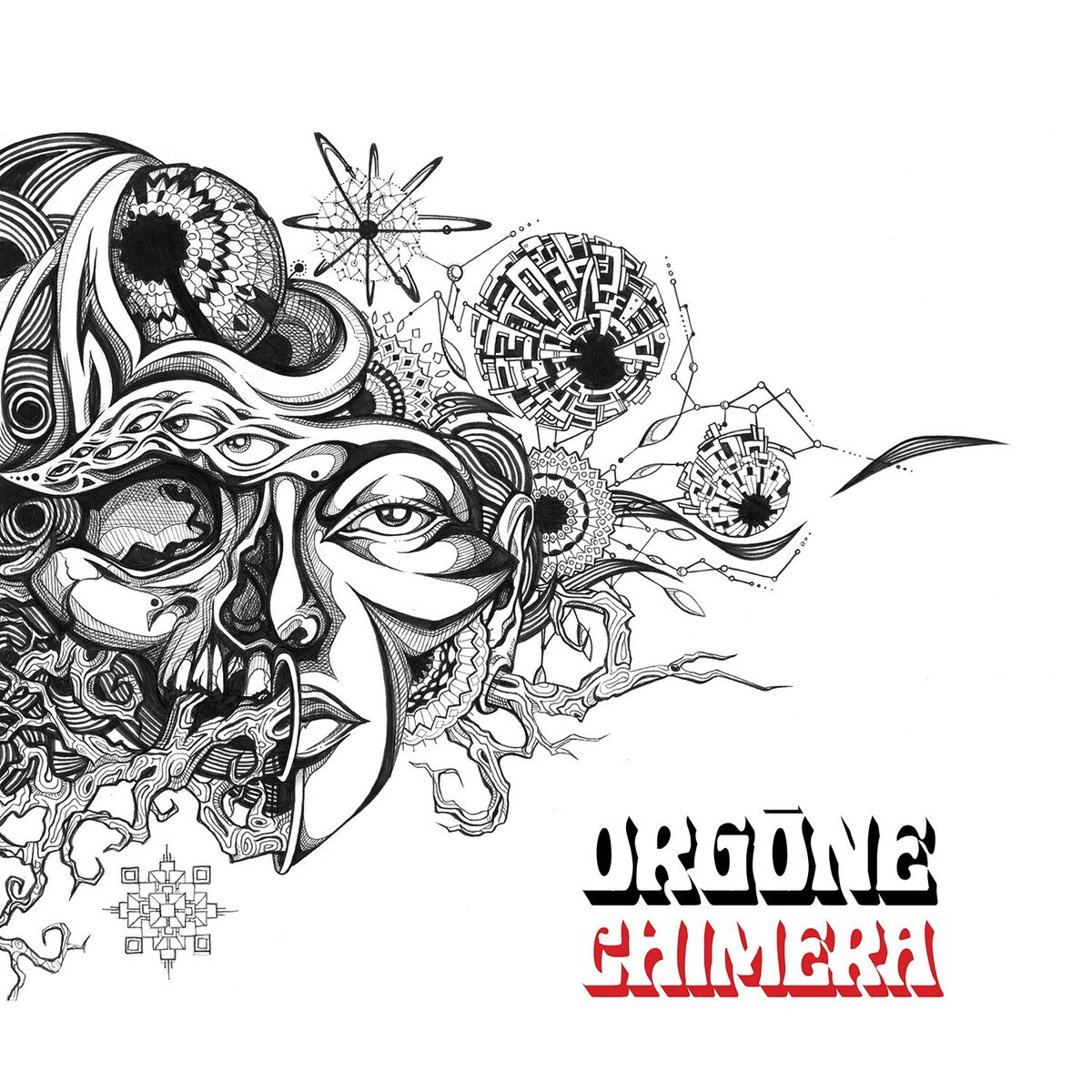 Album cover of Chimera