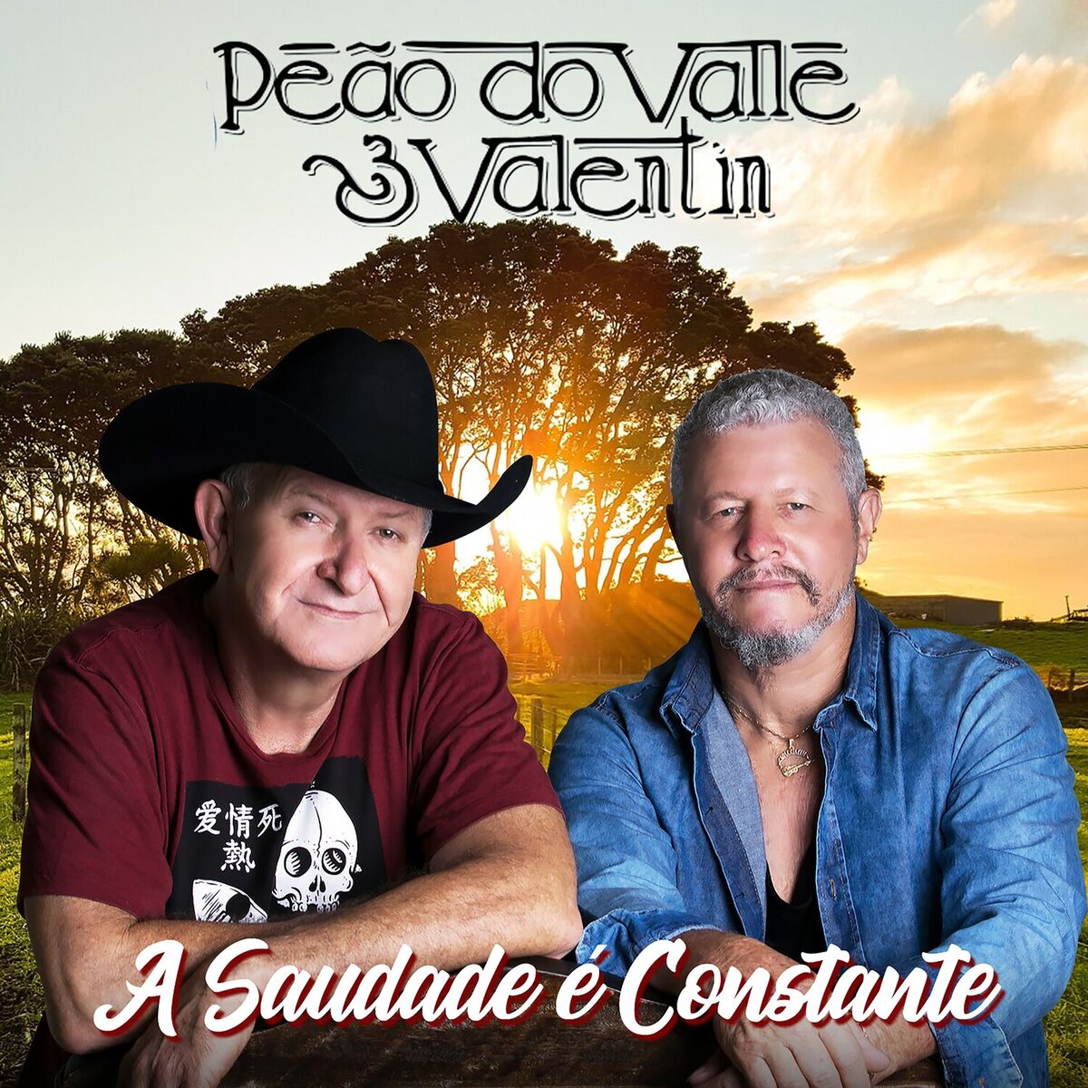 Album cover of A Saudade É Constante