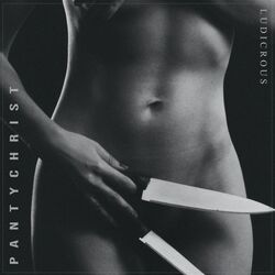 Cover of Pantychrist