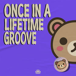 Once In A Lifetime Groove