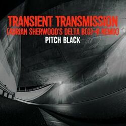 Cover of Transient Transmission (Adrian Sherwood's Delta B 0 =B Remix)