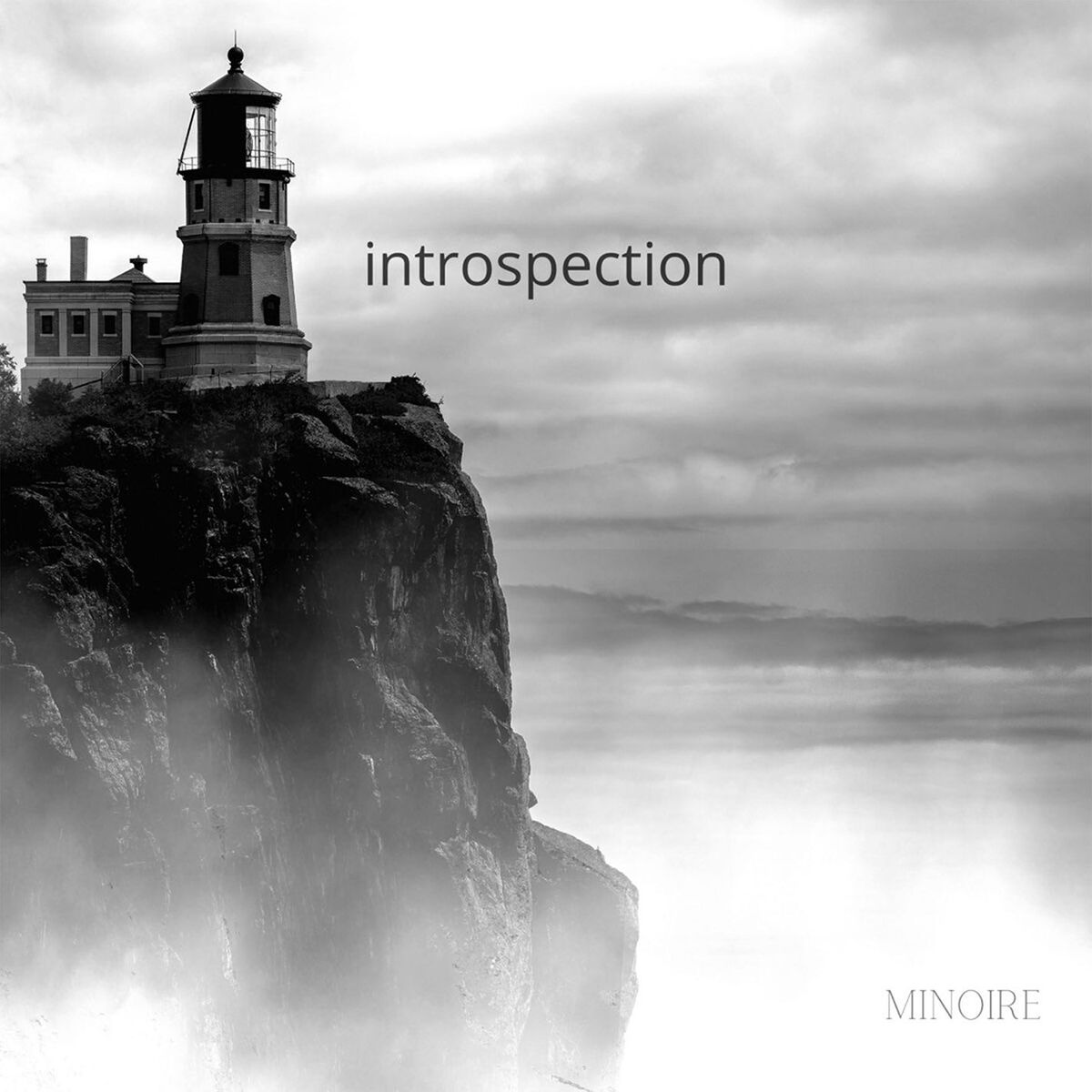 Album cover of introspection