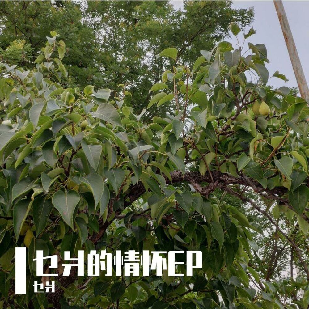 Picture of 乜爿的情怀EP
