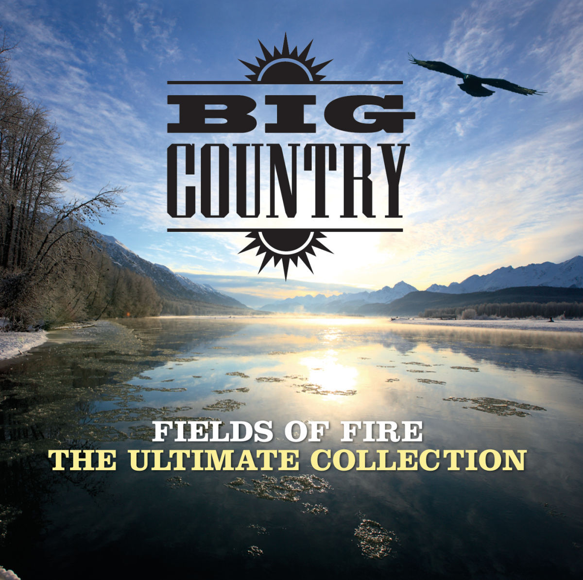 Album cover of Fields Of Fire