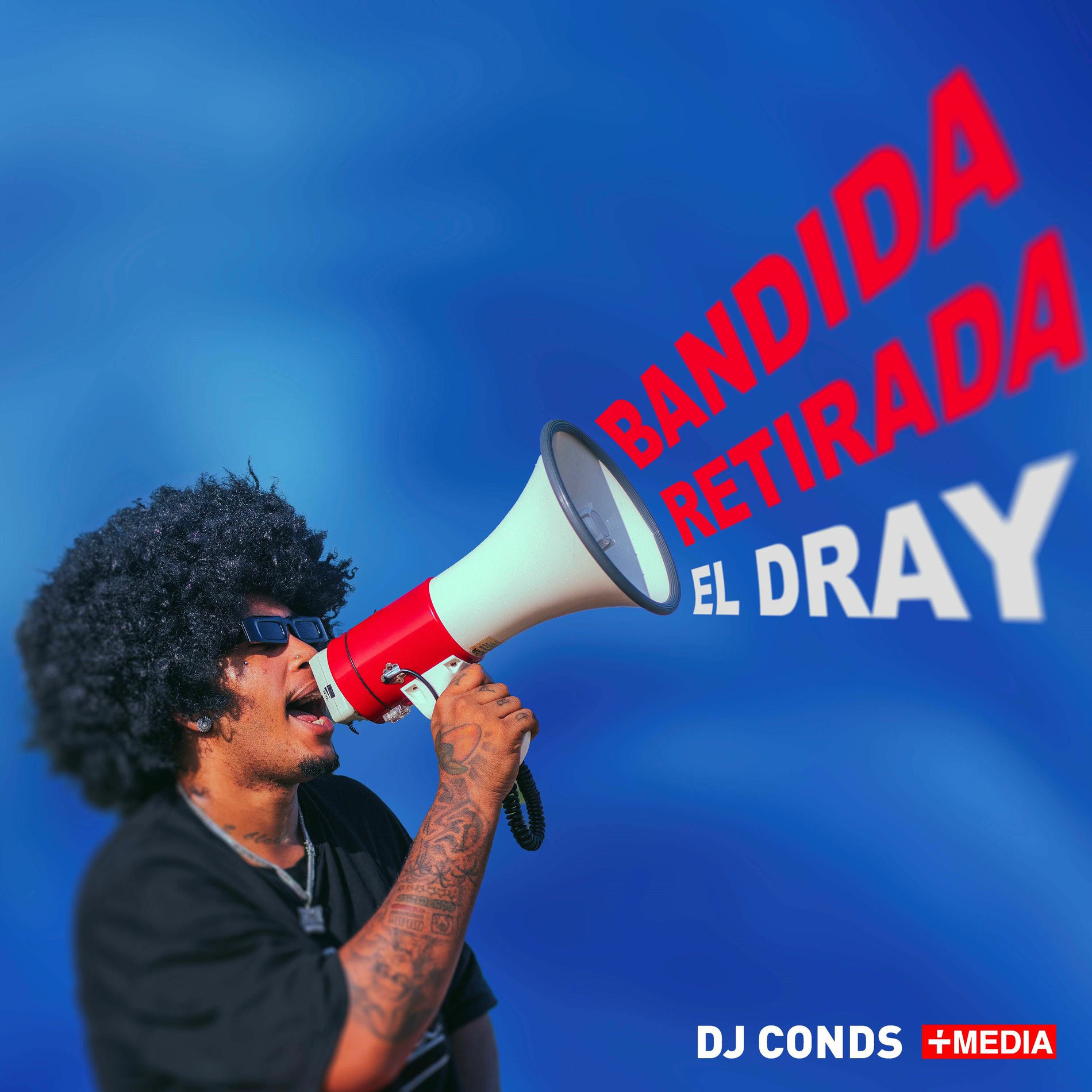 Album cover of BANDIDA RETIRADA