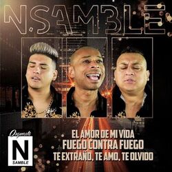 Cover of El Amor de Mi Vida / Fuego Contra Fuego / Te Extraño, Te Amo, Te Olvido