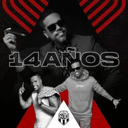Cover of 14 Años (En Vivo)