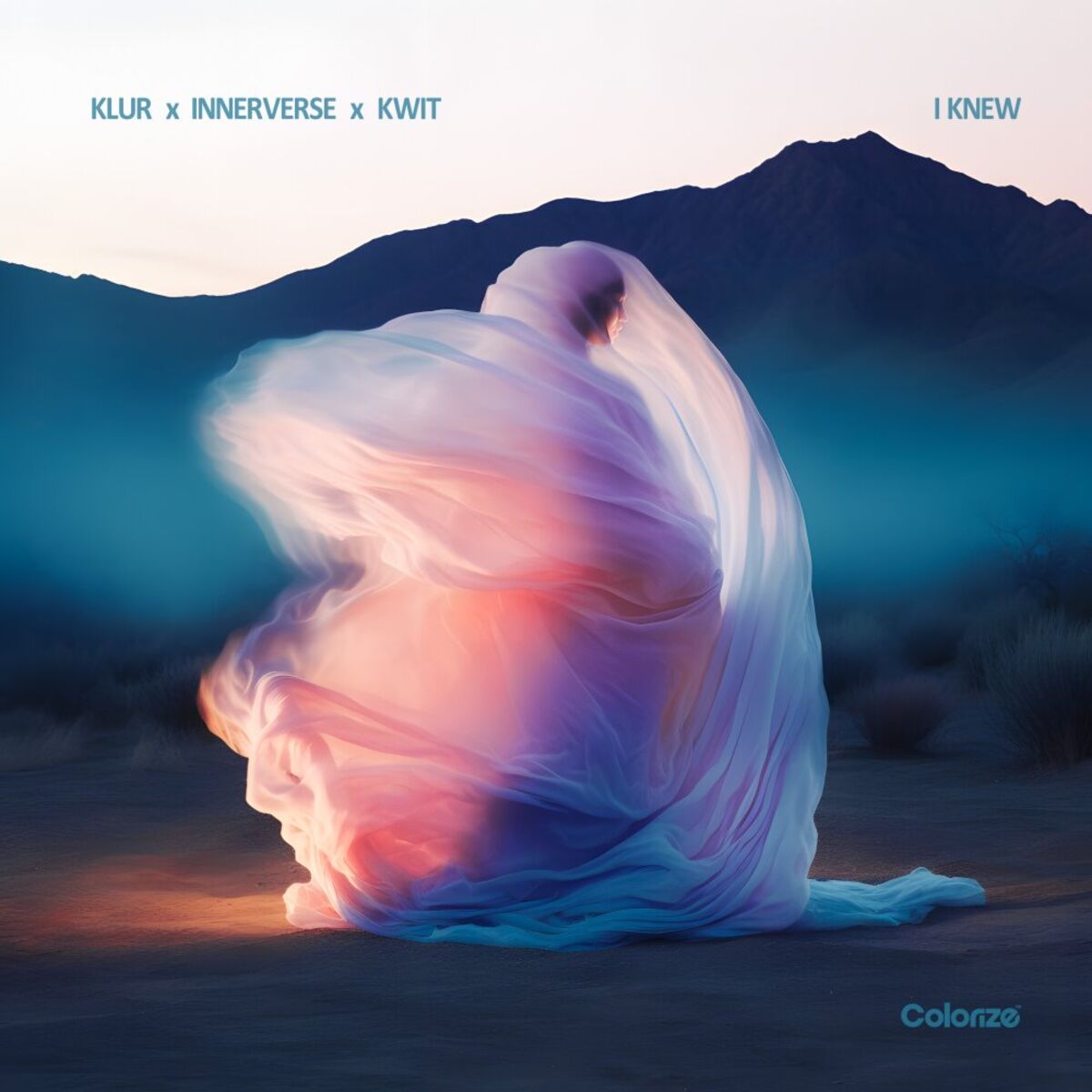 Album cover of I Knew