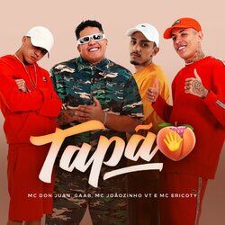 Cover of Tapão