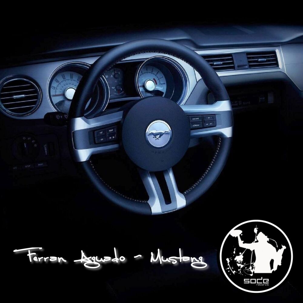 Picture of Mustang