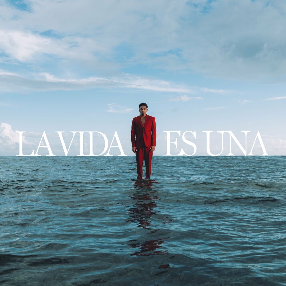 Picture of LA VIDA ES UNA