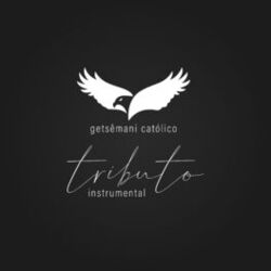 Cover of Hino do Get - Instrumental