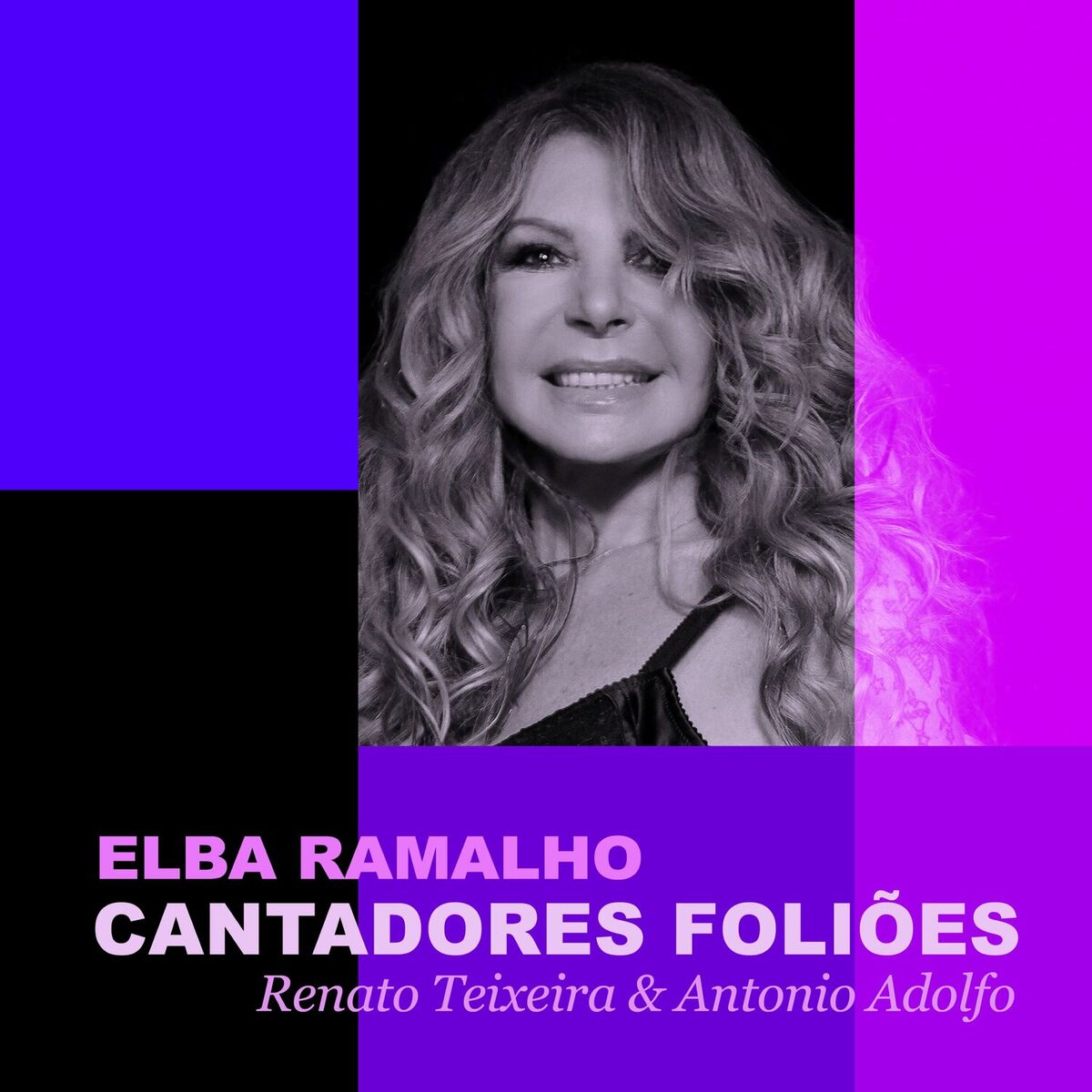 Album cover of Cantadores Foliões