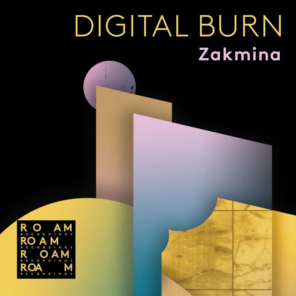 Digital Burn (Fruedenthal Remix) borító