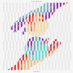 Cover of Twins
