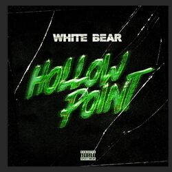 Cover of Hollow Point