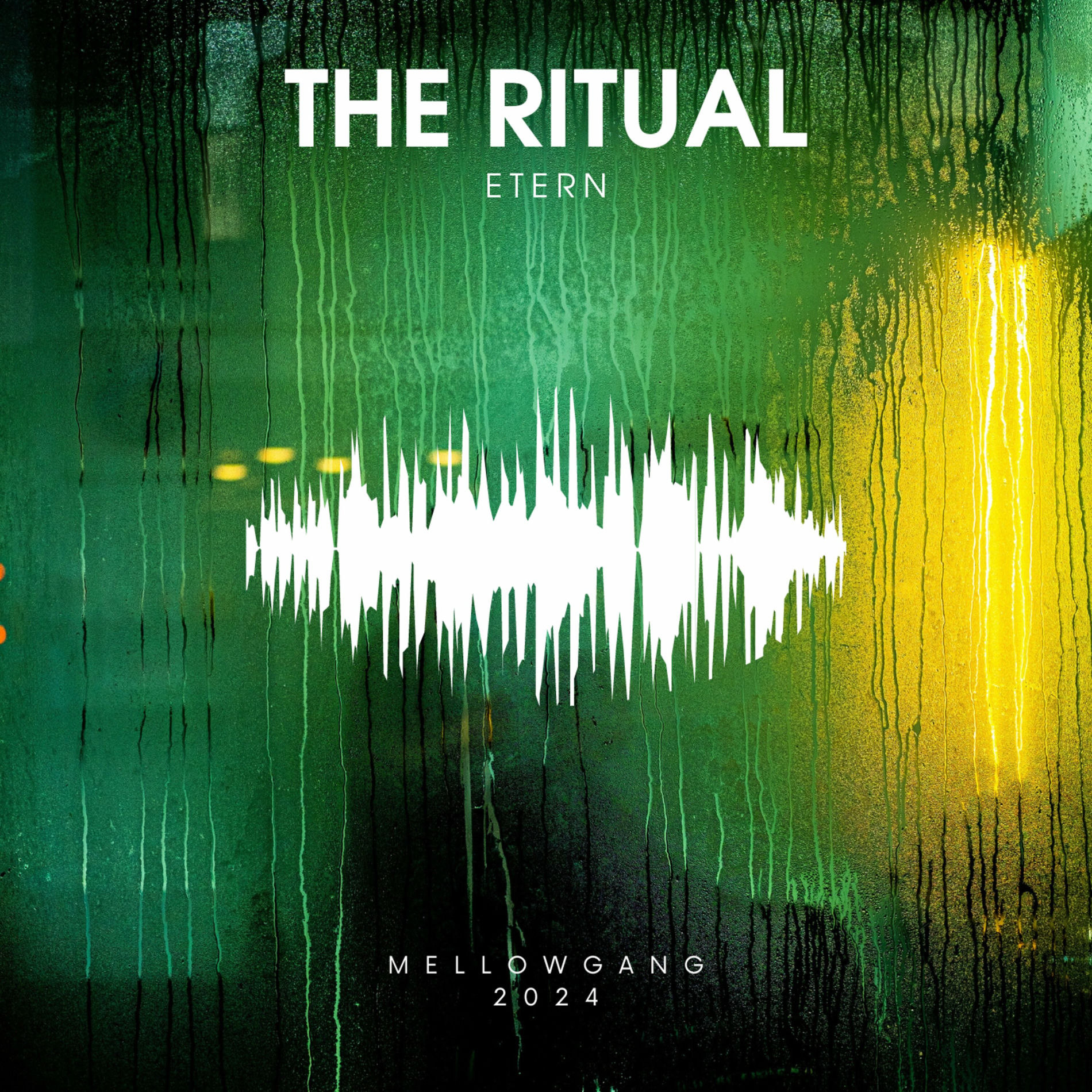 Album cover of The Ritual