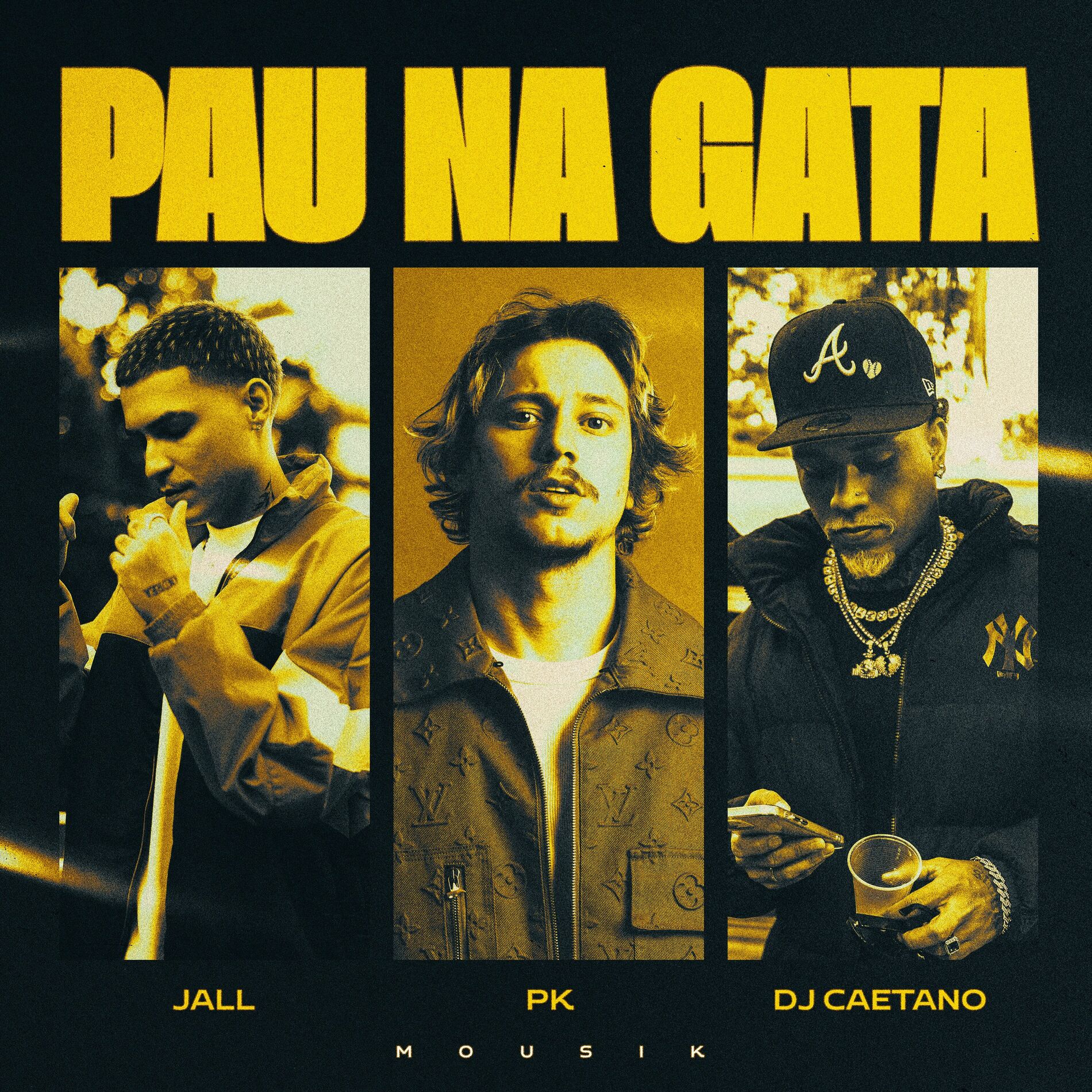 Album cover of Pau na Gata