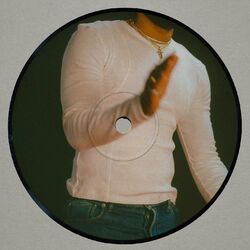 Cover of Lover/Friend