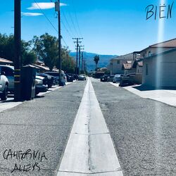 Cover of CALIFORNIA ALLEYS