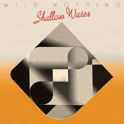 Cover of Shallow Water