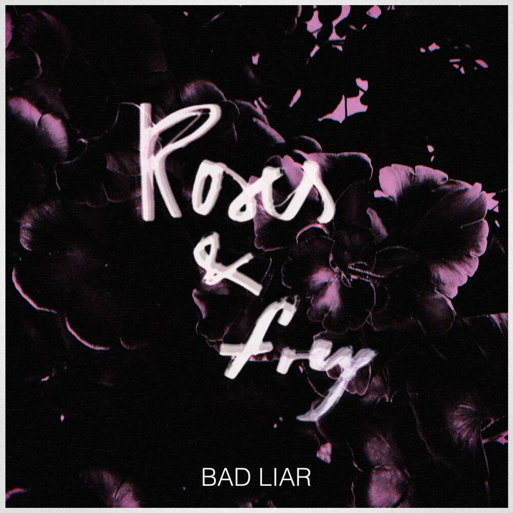 Picture of Bad Liar