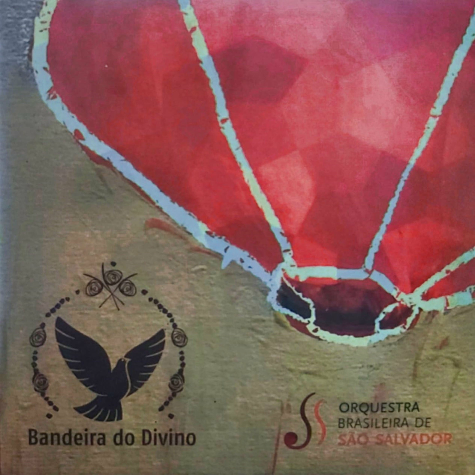 Album cover of Sonham os Cágados Hibernados