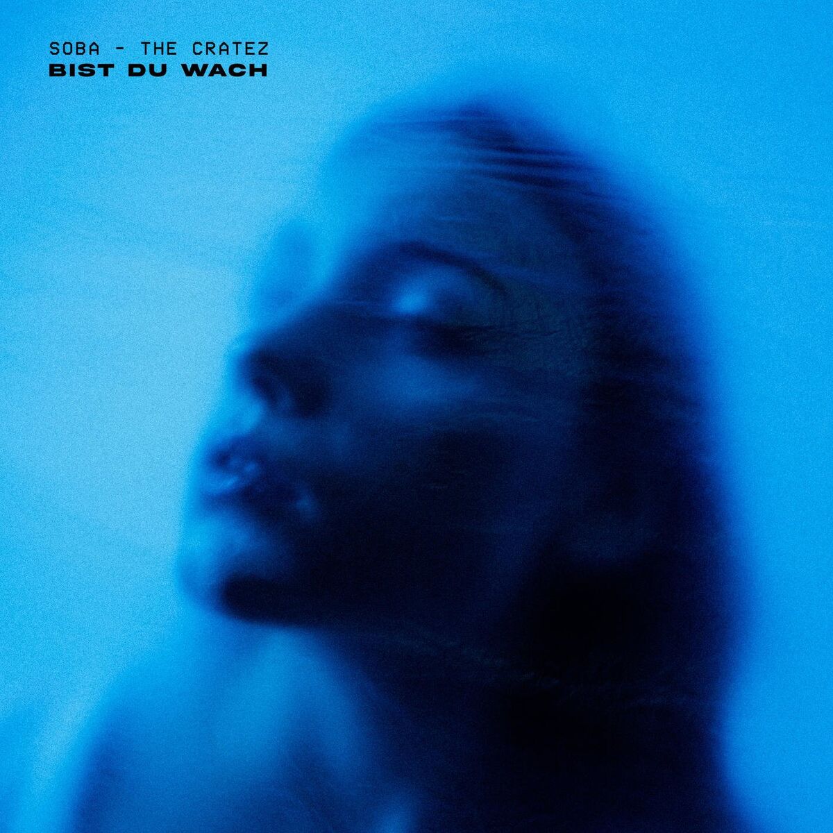 Album cover of Bist du wach