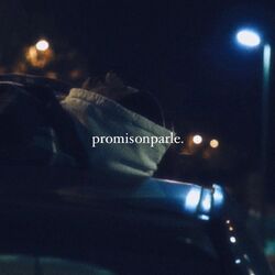 promisonparle.