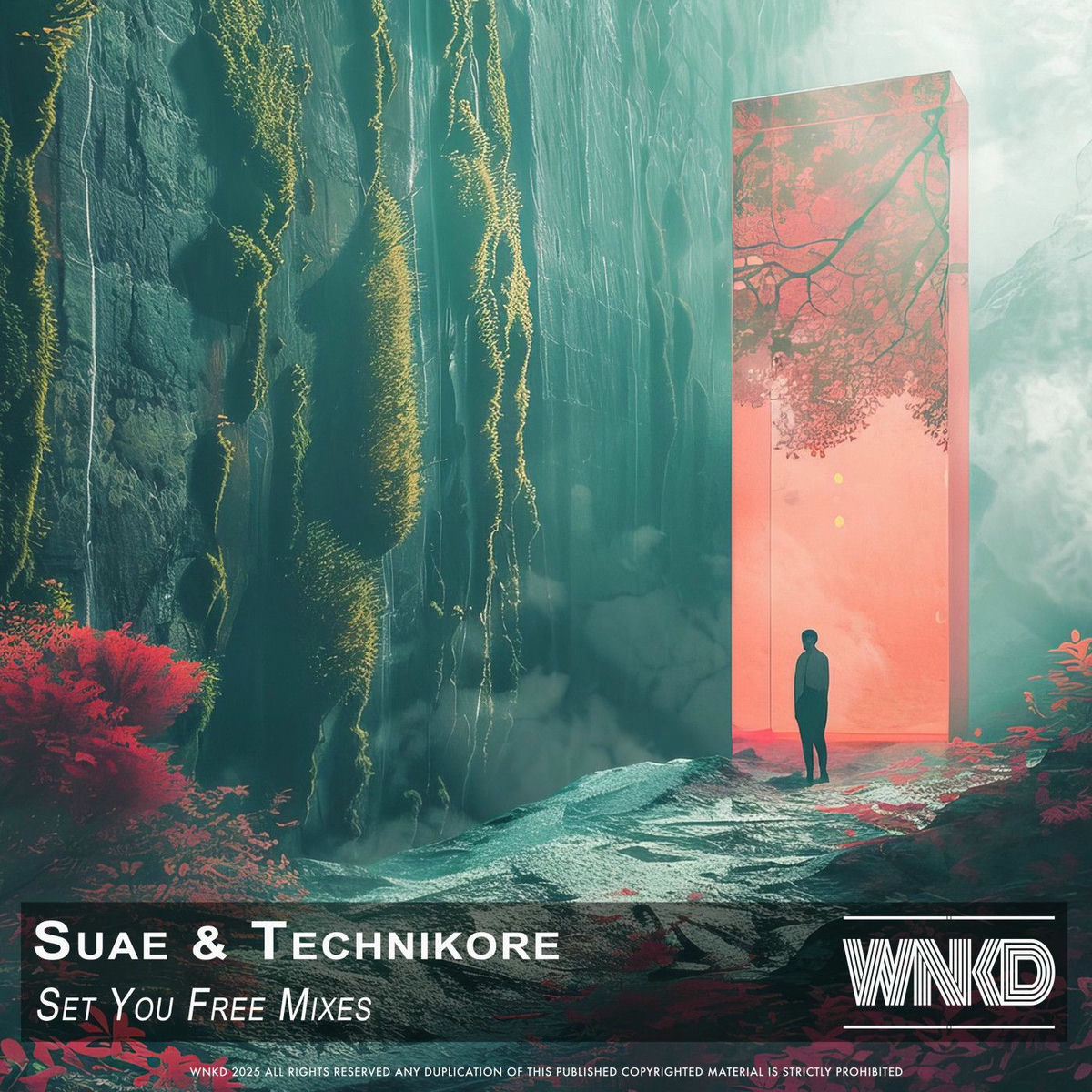Album cover of Set You Free Mixes