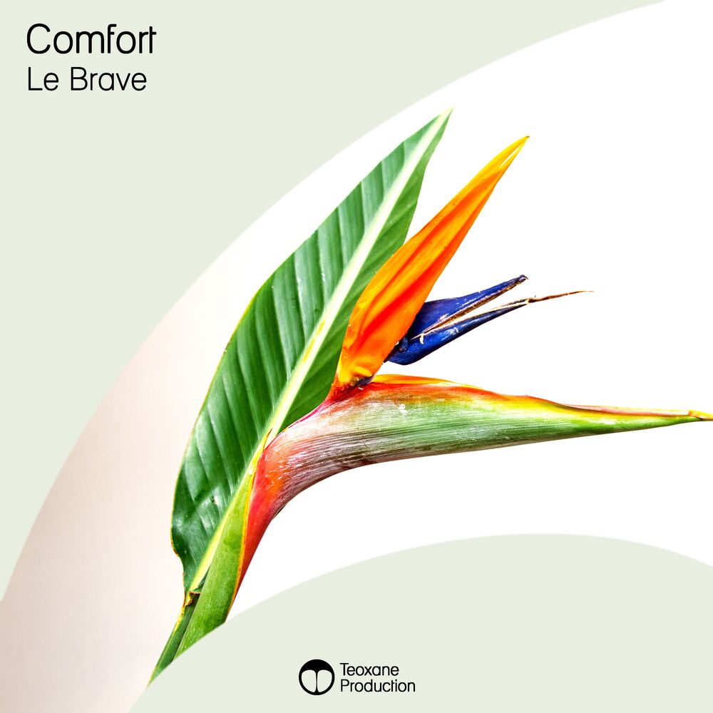 Picture of Comfort