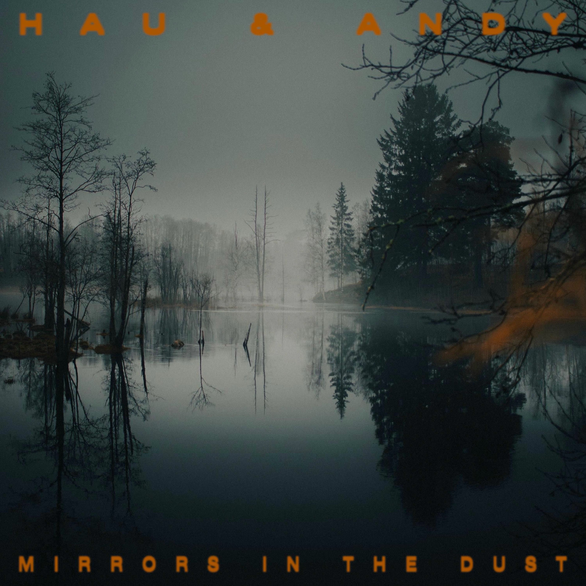 Album cover of Mirrors in the dust
