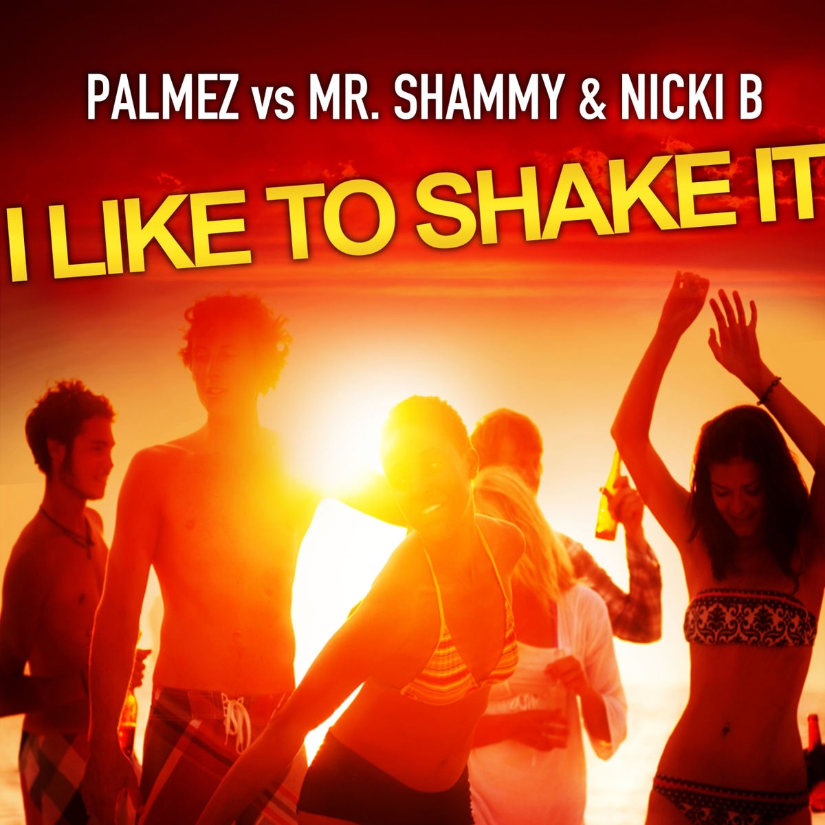 Album cover of I Like to Shake It