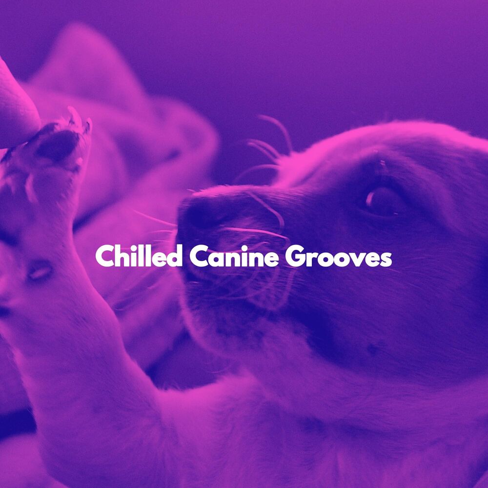 Picture of Chilled Canine Grooves