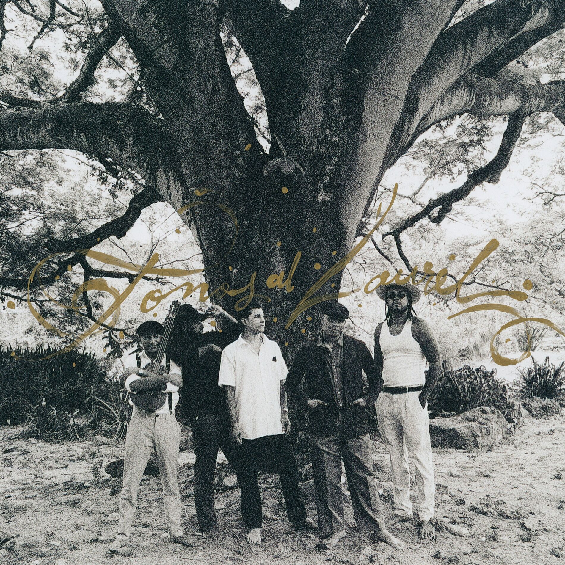 Album cover of Tonos al Laurel