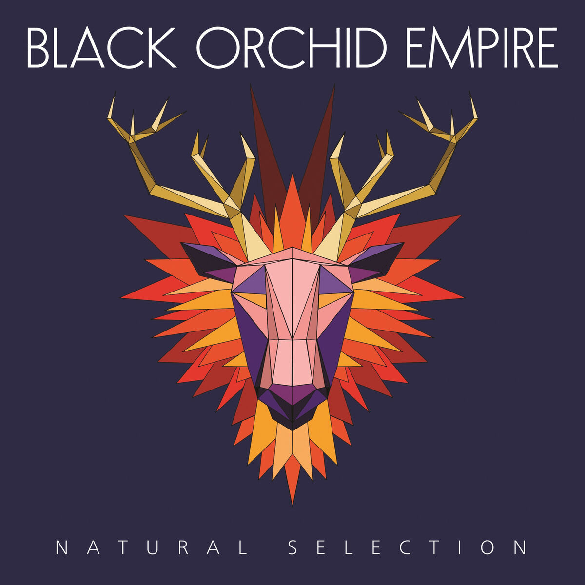 Album cover of Natural Selection