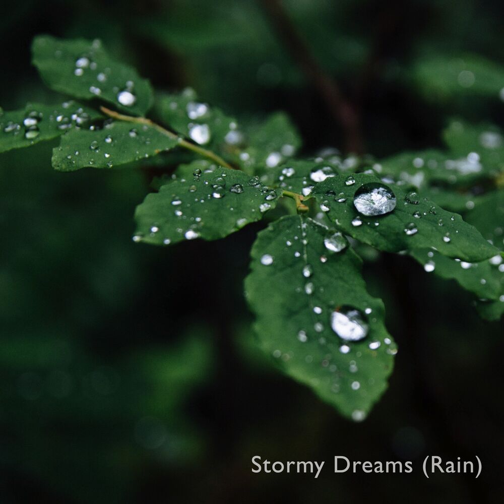 Picture of Stormy Rain