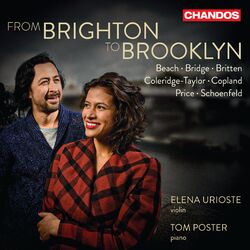 Cover of From Brighton to Brooklyn