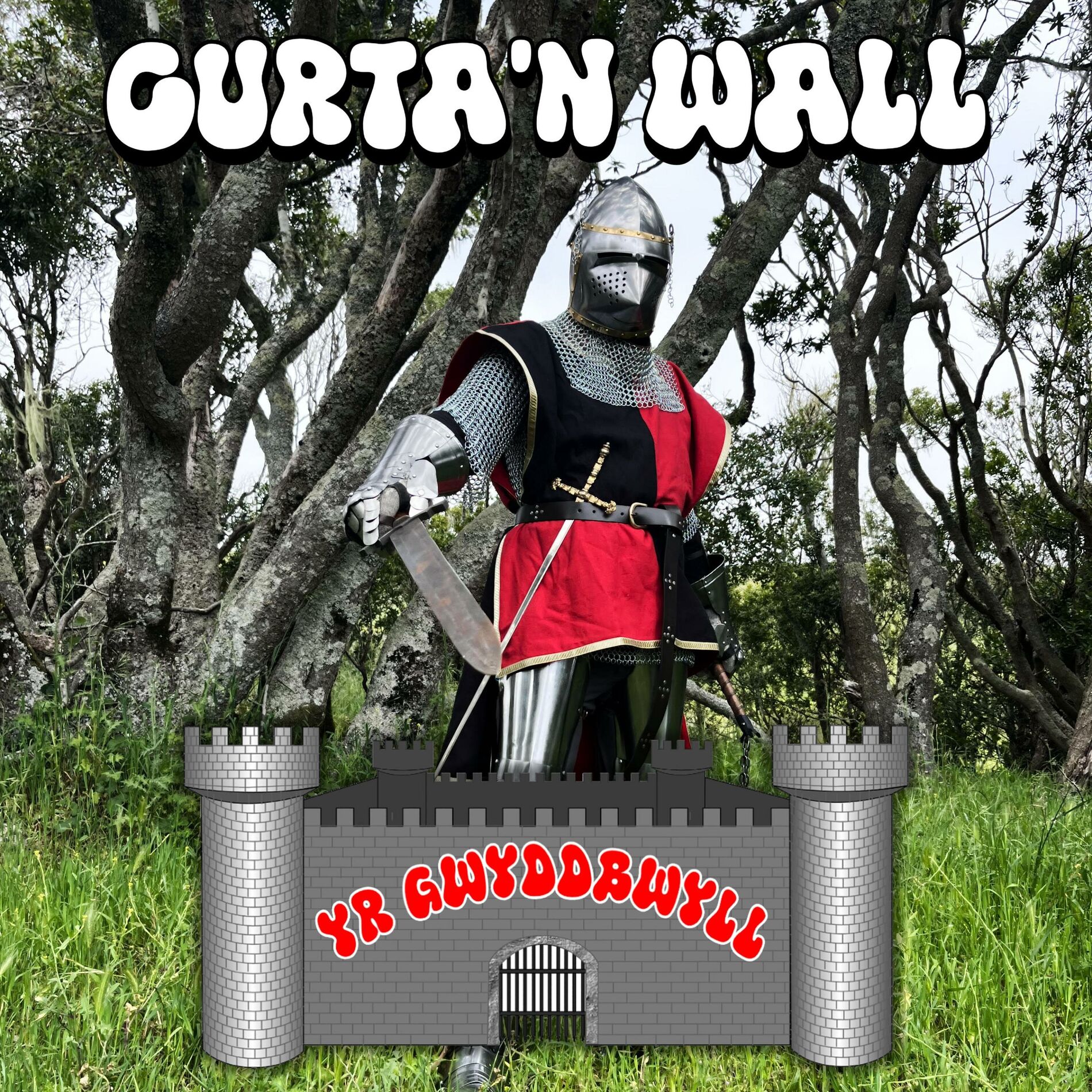 Album cover of Yr Gwyddbwll