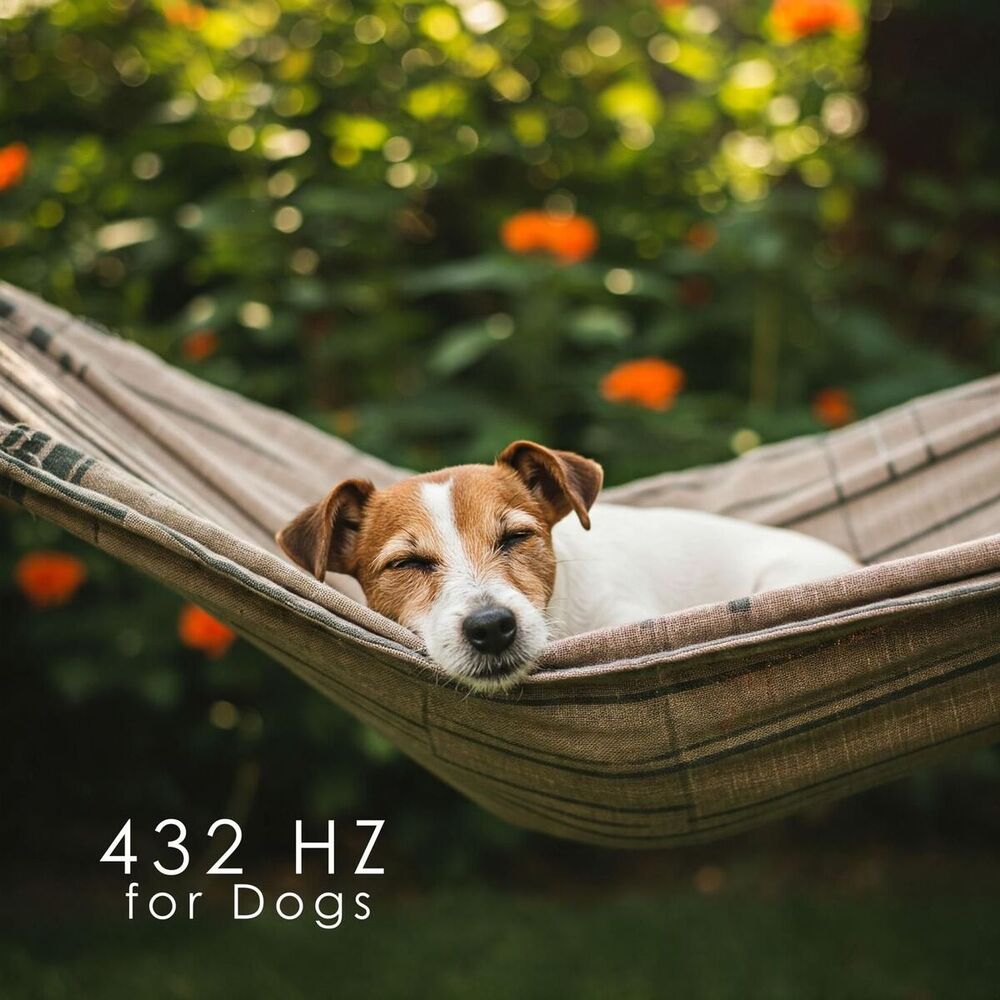 Picture of 432 Hz for Dogs
