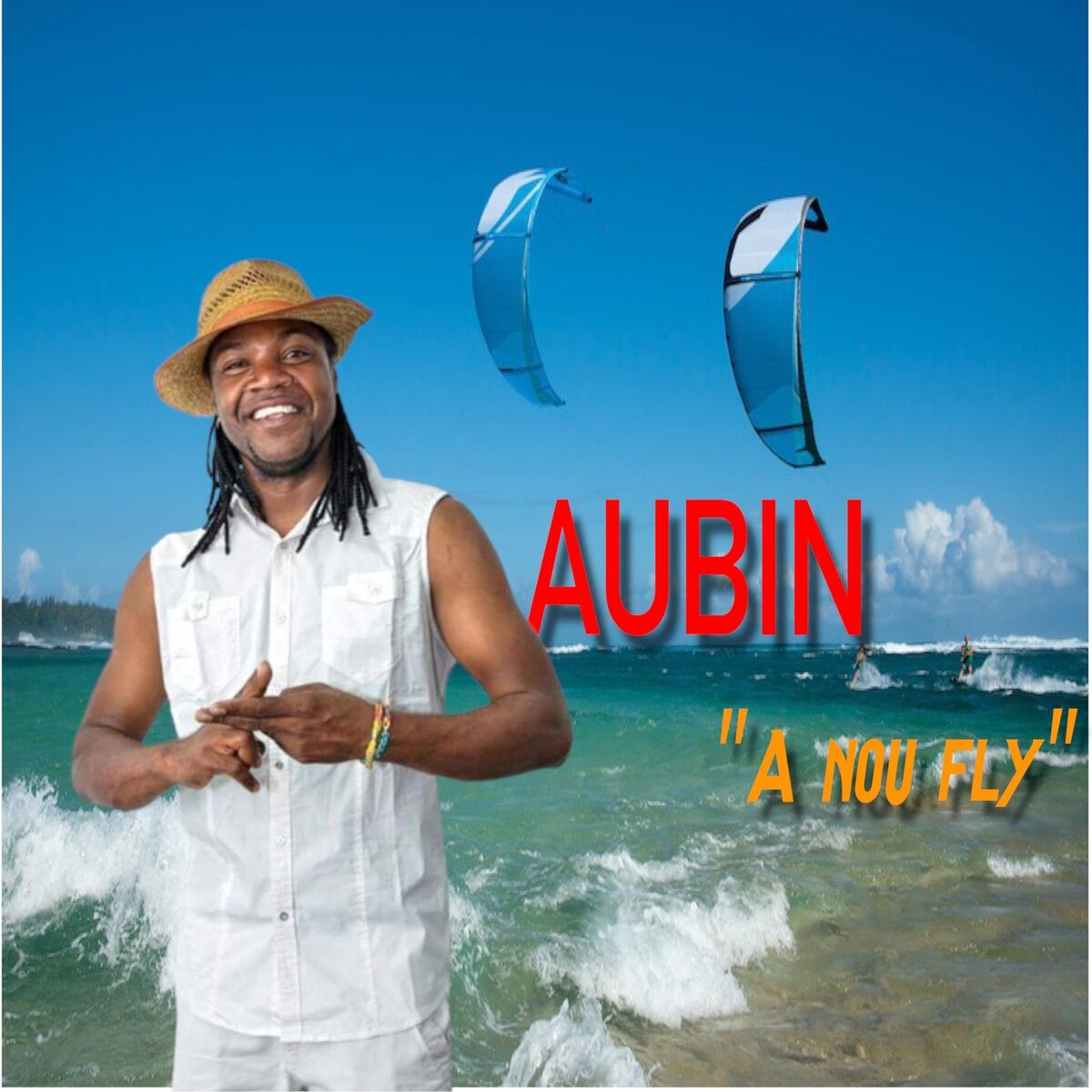 Album cover of A Nou Fly