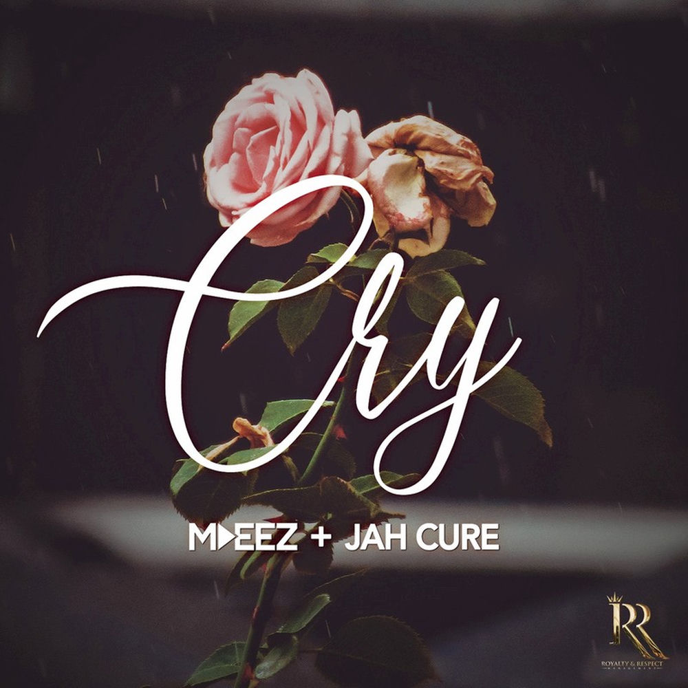 Cry cover